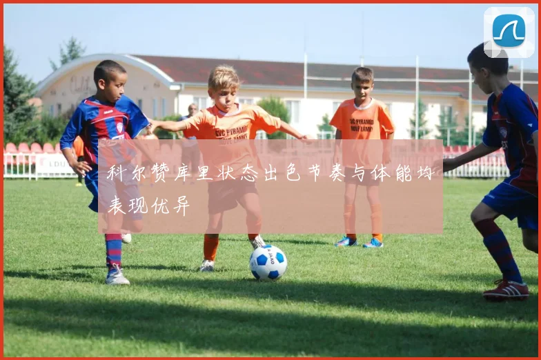 科尔赞库里状态出色节奏与体能均表现优异