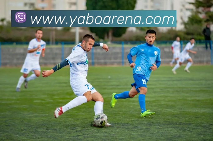 亚博体育APP 高清赛事图